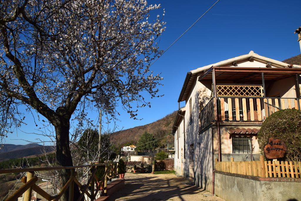 Apartamento Casa Galoppa Trevi Exterior foto